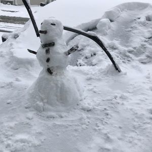 Meet your Posher, Susan